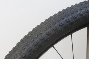 Specialized Fate (1)