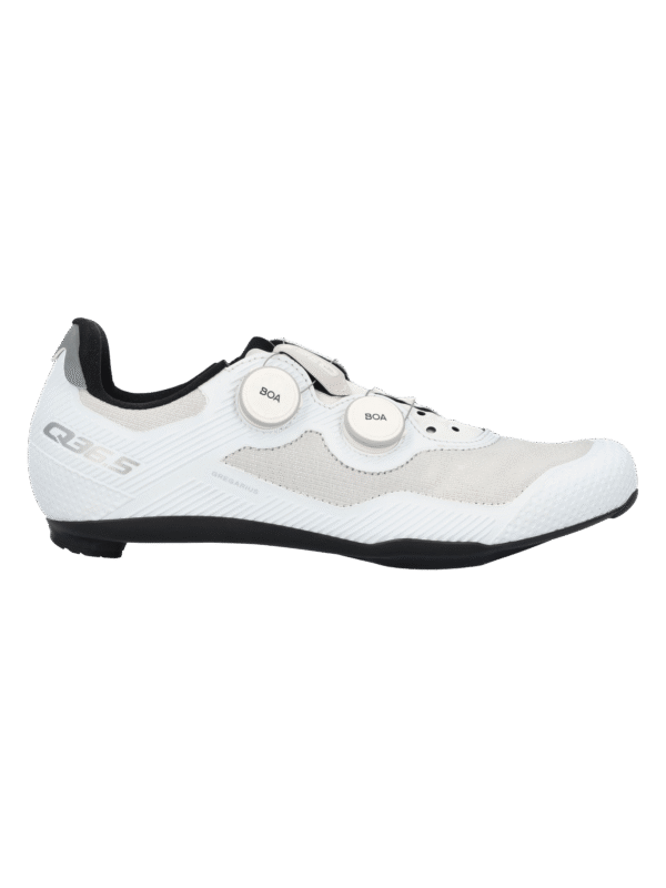 Q36.5 Gregarius Road Shoe