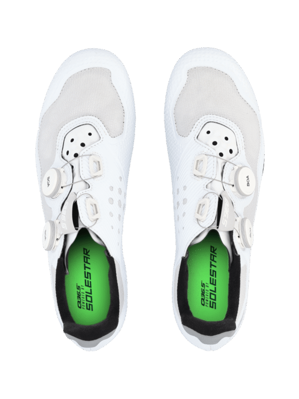 Q36.5 Gregarius Road Shoe