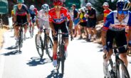 enric mas Cor Vos