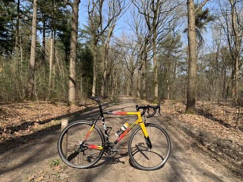 C900A749-8BBB-4EE0-B006-0C908ABAE404.jpeg (187.72 KiB) 1692 keer bekeken C900A749-8BBB-4EE0-B006-0C908ABAE404.jpeg