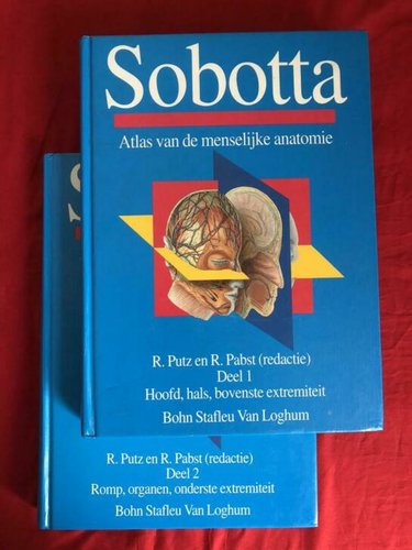 sobotta2x.JPG