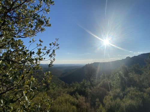 B276D093-BE4B-4B82-B06C-6120C7B83AF0.jpeg (343.1 KiB) 1183 keer bekeken B276D093-BE4B-4B82-B06C-6120C7B83AF0.jpeg