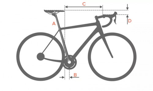 silhouette-race-results.jpg