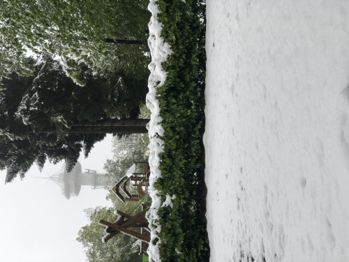 BE82FC0D-6289-4C47-B22C-1C5AA07125F2.jpeg (3 MiB) 1856 keer bekeken BE82FC0D-6289-4C47-B22C-1C5AA07125F2.jpeg