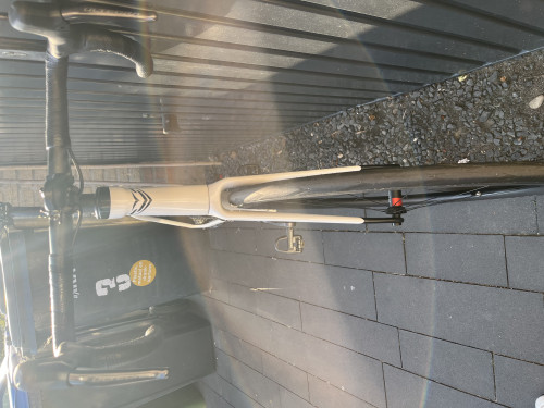 IMG_9379.jpeg (3.29 MiB) 2423 keer bekeken IMG_9379.jpeg