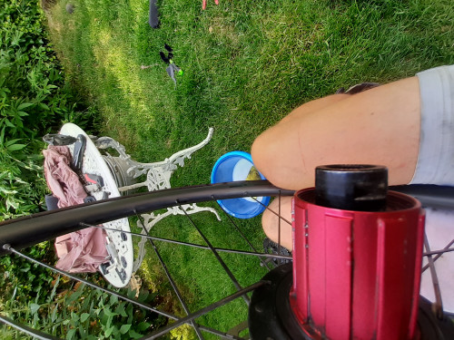 20230623_174647.jpg (1.77 MiB) 2130 keer bekeken 20230623_174647.jpg