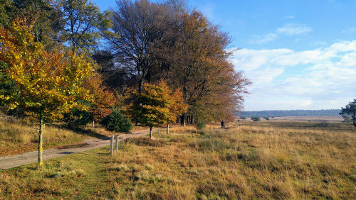 DSC_2258~3.JPG (3.76 MiB) 1979 keer bekeken DSC_2258~3.JPG