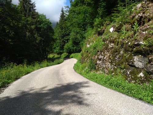 Bise 1 gecomprimeerd.jpg