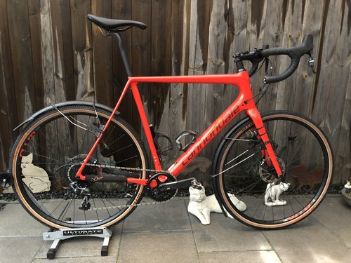 2018-12-07 15.55.30.jpg