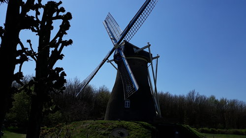 20190419_134049.jpg (3.26 MiB) 986 keer bekeken Johanna Elisabeth Graanwindmolen