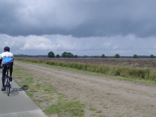 Forumrit Drenthe 20 augustus (10).jpg