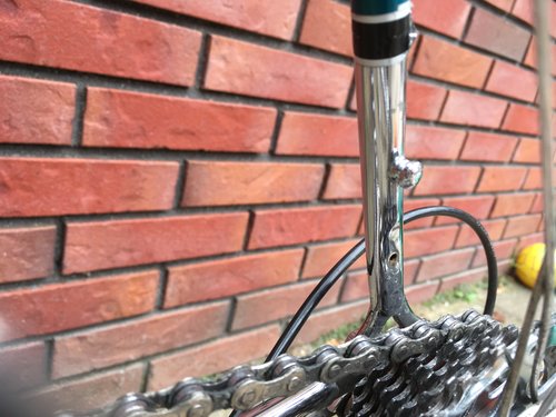 Nokje op staande achtervork.JPG