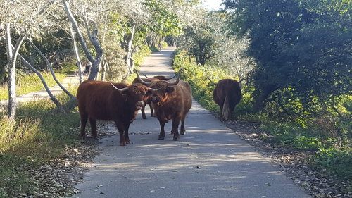 20190831_090453.jpg (3.45 MiB) 2188 keer bekeken 20190831_090453.jpg