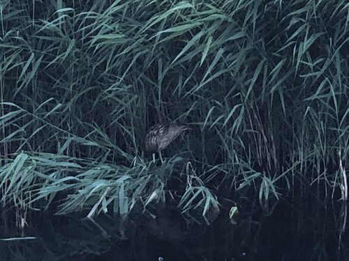 3E701408-3421-4052-B189-4AB5D4DA8BF3.jpeg (1.75 MiB) 1426 keer bekeken 3E701408-3421-4052-B189-4AB5D4DA8BF3.jpeg